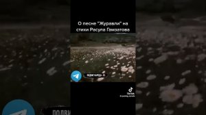 15277.mp4