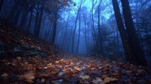 deep blue mist for a midnight walk 🌫️ ⧸⧸ dark ambient