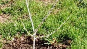 ураган  на подходе