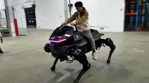 В Китае создали киберконя-тяжеловоза для бездорожья