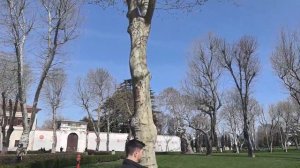 Председатель СНТ.Правда про Султанский дворец ТОПКАПЫ !!!