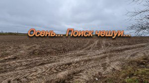 На старом урочище нашли серебро вместо чешуи.