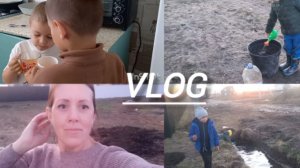 02-05-2026 ДОМАШНИЙ ВЛОГ 🏠 ПРИЕХАЛИ В ЯРОСЛАВЛЬ  ✔️ ПОКУПКИ ✔️СПАСАЮ ТЮЛЬПАНЫ