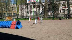 Вик, тренировка 02.05