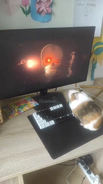 лол