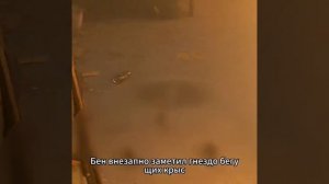 Фильм на вечер: « Бегущий человек»
