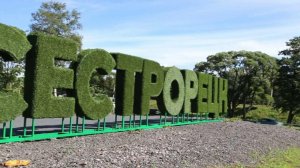 17-Санкт-Петербург: г.Сестрорецк  ф.5