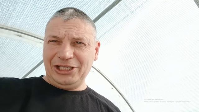 Укоренение винограда, не допускайте ошибок