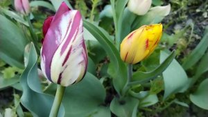 А ПОЧЕМУ И НЕ ПОГОВОРИТЬ🌷