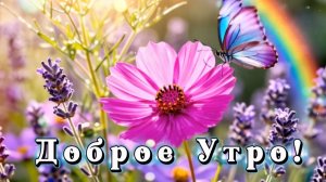 Доброе утро! Песня и пожелания доброго утра