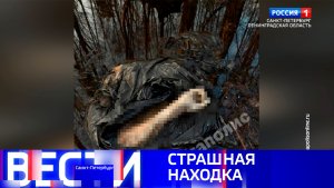 Вести Санкт-Петербург. Выпуск 20.50 от 02.05.2026
