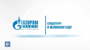 Субботник молодых специалистов в Яблоневом саду