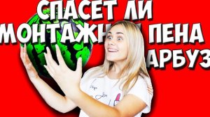 СПАСЕТ ЛИ МОНТАЖНАЯ ПЕНА АРБУЗ ОТ ПАДЕНИЯ С 10 ЭТАЖА???