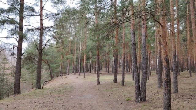 Советы о том каким образом "правильно" работать по найму в организации