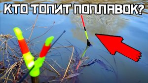 БАТОНЫ ПОШЛИ В МАЕ! Закинул под БЕРЕГОВОЙ СВАЛ и клюёт СРАЗУ! Рыбалка 2026