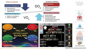 L.19.03 - World Health Organization (WHO) Guidance on Implementing Patient Blood Management !!