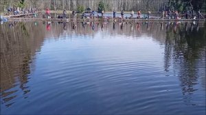 Поимки форели на спиннинг. Спорт-зона. Клёвое место Лосиный остров.