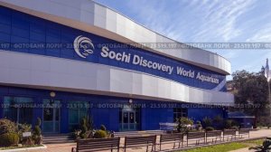 Океанариум Sochi Discovery World Aquarium Подводный Мир Рыбки Адлер 2025
