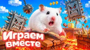 ХОМЯК ВЫБИРАЕТСЯ ИЗ СЕКРЕТНОЙ ХОМЯЧЕЙ ТЮРЬМЫ ! Играем ВМЕСТЕ 2 Помогаем выбраться из лабиринта !