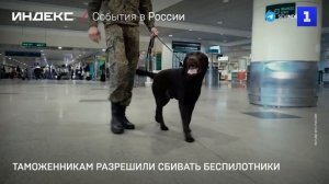 Таможенникам разрешили сбивать беспилотники