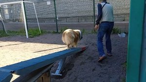 Вик, «бум», тренировка 02.05