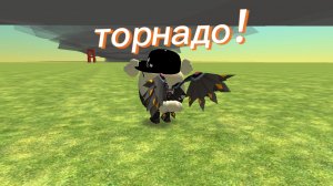 перехват торнадо EF5 с другом