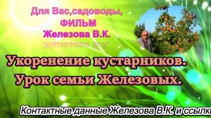 Укоренение кустарников. Урок семьи Железовых.