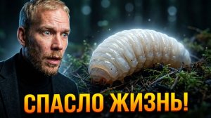 Еда на грани смерти: Что на самом деле спасало людей в голод и осаду?