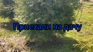 02.05.2026г.  приехали на дачу, дел много, сломалась беседка