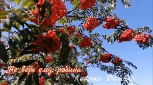Не верь ему, рябина🎶💘 Автор и исполнитель Леночка Белочка...