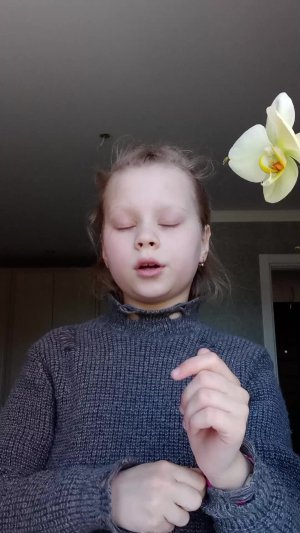 я люблю вас