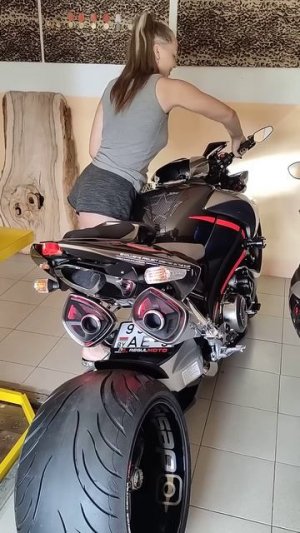 Suzuki B-King