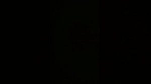 38903.mp4