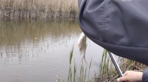 Рыбалка на Черном Салу