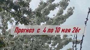 ПРОГНОЗ с 4 по 10 мая 26г