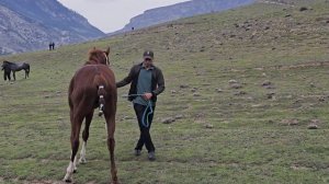До скачек в селе Ансалта.2.05.2026 год