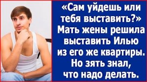 Сам уйдешь или тебя выставить Мать жены решила выставить Илью из его же квартиры. Но зять