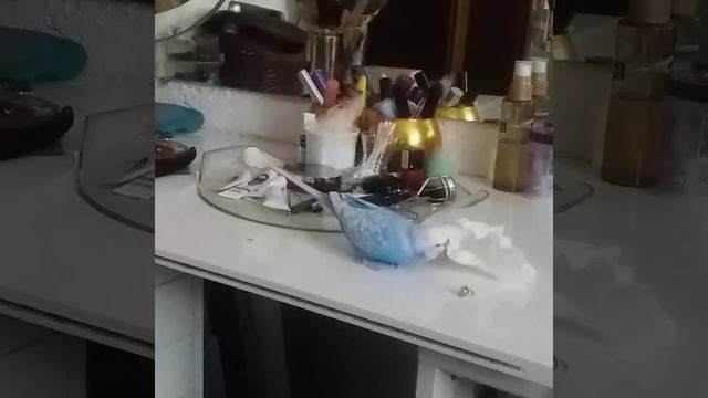 Вот куда пропадают мои #Shorts#