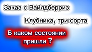 02-05-2026Очередной заказ с WB. В каком состоянии саженцы?