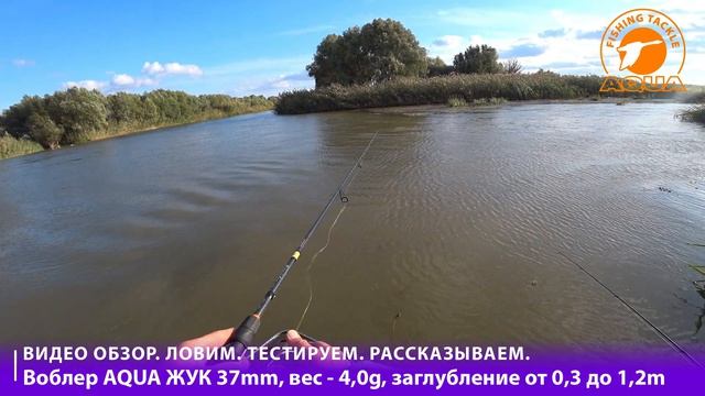 🎣🐟🔥 Загадочный воблер AQUA Жук — почему он ловит даже в безклёвье?