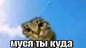 Колбаска
