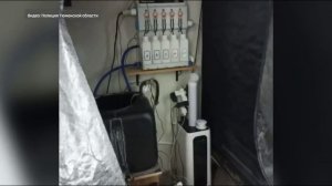 Водителя с марихуаной задержали на тюменской трассе