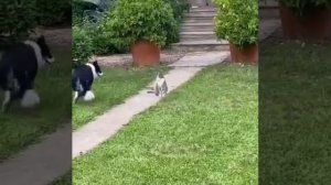 VID_20260501_071408_012.mp4