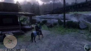 Red Dead Redemption 2 Euphoria RP