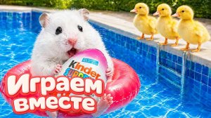 ХОМЯК ВЫБИРАЕТСЯ ИЗ СЕКРЕТНОЙ ХОМЯЧЕЙ ТЮРЬМЫ !  Помогаем ХОМЯЧКУ выбраться из лабиринта ! №3