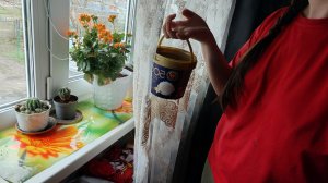 по грибы или по ягоды пойти в деревне счастье
