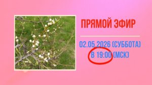 Анонс Эфира 02.05.2026