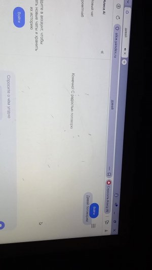 разговаривал с Алисой на разные темы