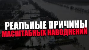 ПОТОП. Почему регионы оказались не готовы к стихийным бедствиям? Елена Овсиенко, Алигаджиев Магомед