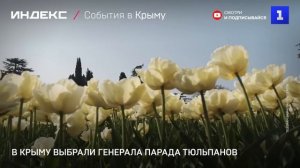 В Крыму выбрали Генерала Парада тюльпанов